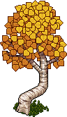 autumn_birch