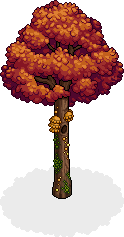 autumn_bird