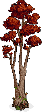 autumn_branching