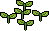 sapling