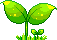 happyleaf