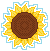 sunflower-head