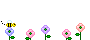 bee-visiting-flowers