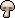 mushroom-gray