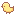 yellow-chick